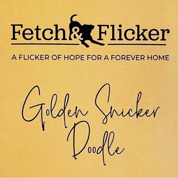 Other - NOT AVAILABLE- Golden Snicker Doodle- 6oz Tin